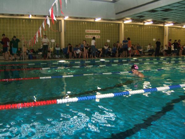 Steffi beim Brustschwimmen
